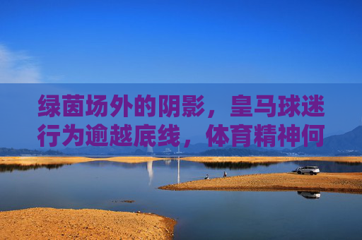 绿茵场外的阴影,皇马球迷行为逾越底线,体育精神何在?