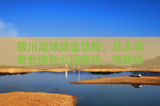 银川足球场全攻略,从大学专业场到公园夜场,想踢球看这就够了