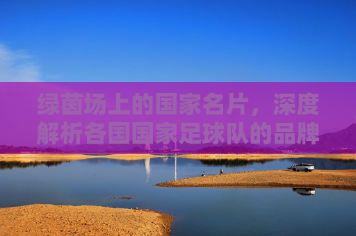 绿茵场上的国家名片,深度解析各国国家足球队的品牌力量
