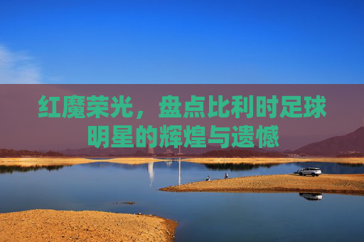 红魔荣光,盘点比利时足球明星的辉煌与遗憾
