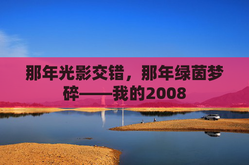 那年光影交错,那年绿茵梦碎——我的2008