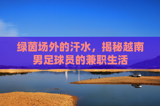 绿茵场外的汗水,揭秘越南男足球员的兼职生活