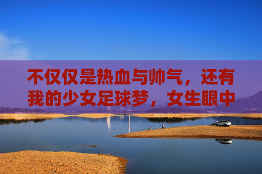 不仅仅是热血与帅气,还有我的少女足球梦,女生眼中的足球小将单机游戏