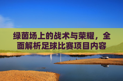 绿茵场上的战术与荣耀,全面解析足球比赛项目内容