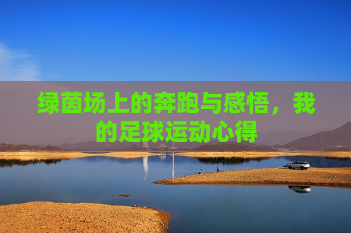 绿茵场上的奔跑与感悟,我的足球运动心得