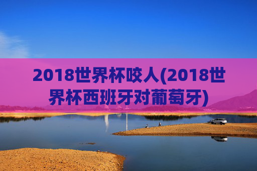 2018世界杯咬人(2018世界杯西班牙对葡萄牙)