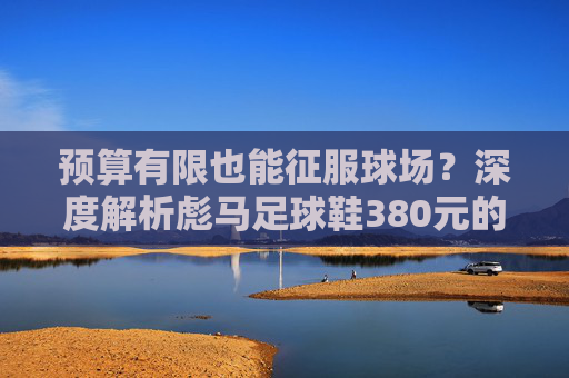 预算有限也能征服球场?深度解析彪马足球鞋380元的性价比之王
