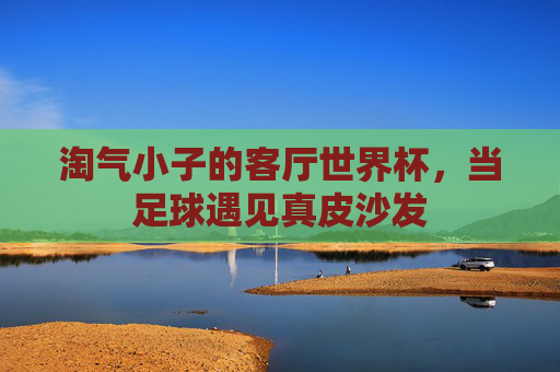 淘气小子的客厅世界杯，当足球遇见真皮沙发