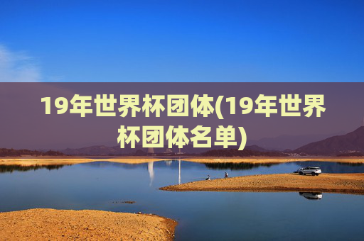 19年世界杯团体(19年世界杯团体名单)