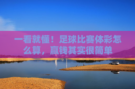 一看就懂！足球比赛体彩怎么算，赢钱其实很简单