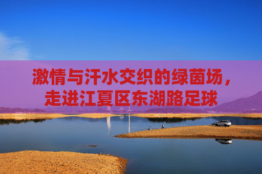激情与汗水交织的绿茵场,走进江夏区东湖路足球