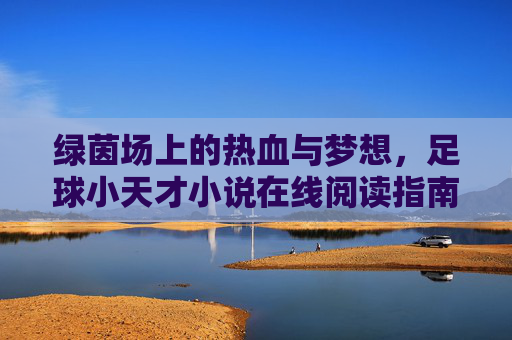 绿茵场上的热血与梦想，足球小天才小说在线阅读指南