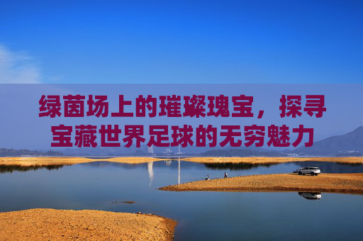 绿茵场上的璀璨瑰宝，探寻宝藏世界足球的无穷魅力