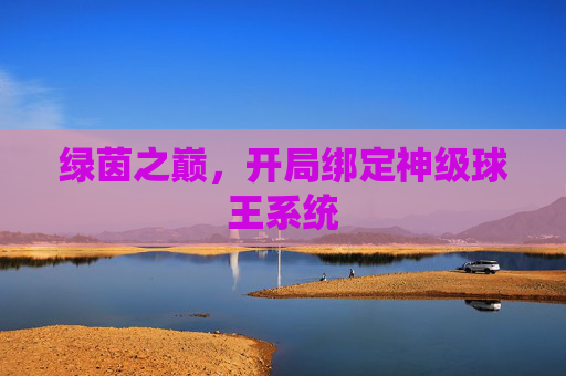 绿茵之巅,开局绑定神级球王系统