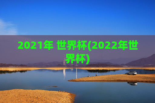 2021年 世界杯(2022年世界杯)