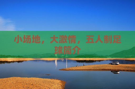 小场地,大激情,五人制足球简介