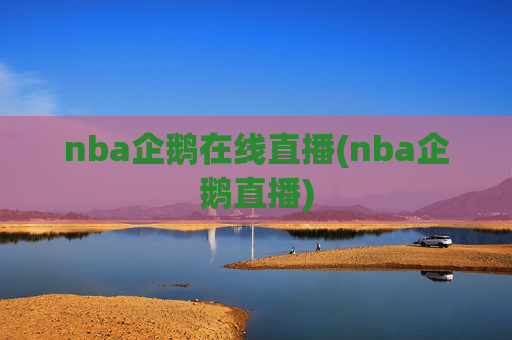 nba企鹅在线直播(nba企鹅直播)