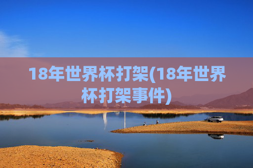 18年世界杯打架(18年世界杯打架事件)
