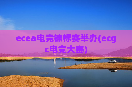 ecea电竞锦标赛举办(ecgc电竞大赛)