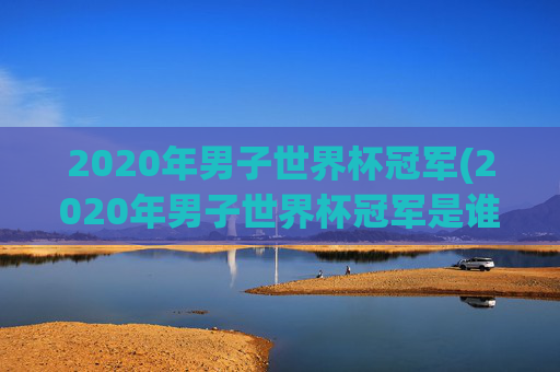 2020年男子世界杯冠军(2020年男子世界杯冠军是谁)