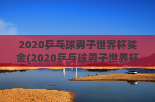 2020乒乓球男子世界杯奖金(2020乒乓球男子世界杯奖金多少)