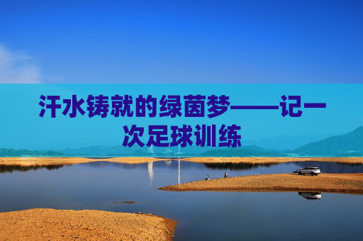 汗水铸就的绿茵梦——记一次足球训练