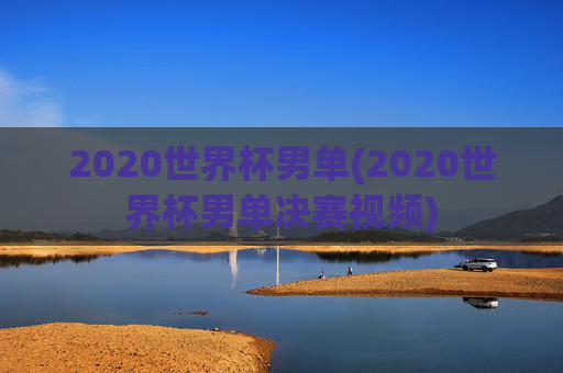 2020世界杯男单(2020世界杯男单决赛视频)
