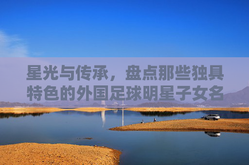 星光与传承,盘点那些独具特色的外国足球明星子女名字