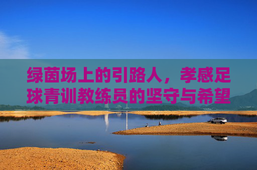 绿茵场上的引路人,孝感足球青训教练员的坚守与希望