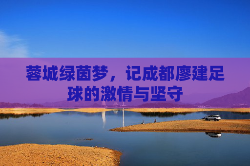 蓉城绿茵梦,记成都廖建足球的激情与坚守