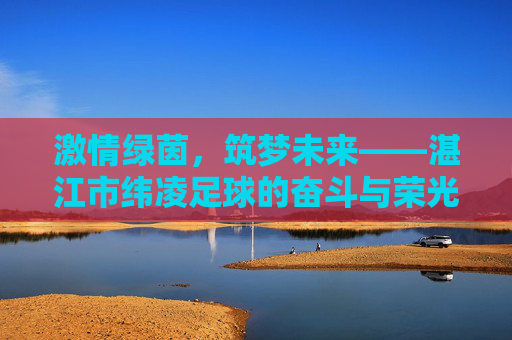 激情绿茵,筑梦未来——湛江市纬凌足球的奋斗与荣光
