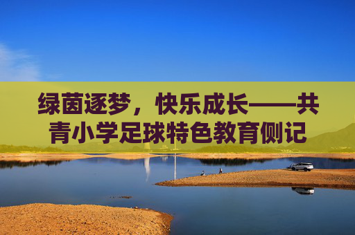 绿茵逐梦,快乐成长——共青小学足球特色教育侧记