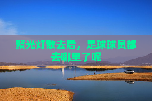 聚光灯散去后，足球球员都去哪里了呢