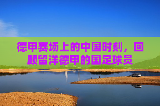 德甲赛场上的中国时刻,回顾留洋德甲的国足球员