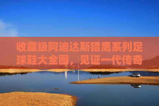 收藏级阿迪达斯猎鹰系列足球鞋大全图,见证一代传奇的诞生与陨落