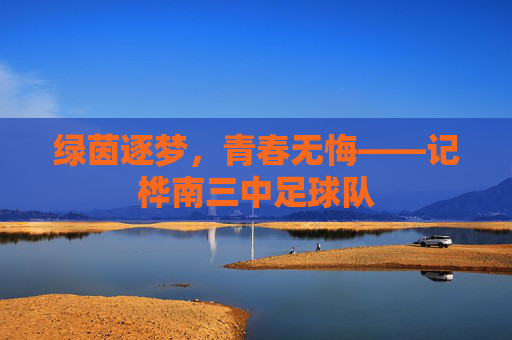 绿茵逐梦,青春无悔——记桦南三中足球队