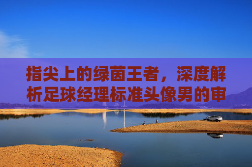 指尖上的绿茵王者，深度解析足球经理标准头像男的审美与心理