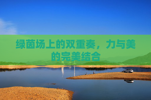 绿茵场上的双重奏,力与美的完美结合