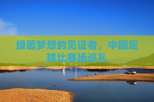 绿茵梦想的见证者,中国足球比赛场巡礼
