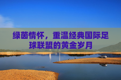绿茵情怀，重温经典国际足球联盟的黄金岁月