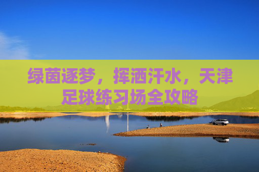 绿茵逐梦，挥洒汗水，天津足球练习场全攻略