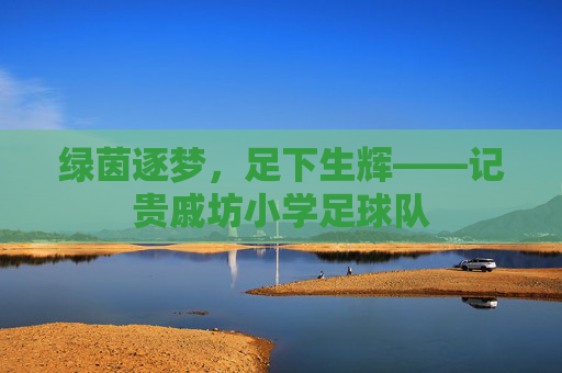 绿茵逐梦,足下生辉——记贵戚坊小学足球队
