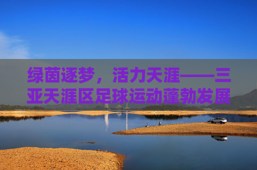 绿茵逐梦,活力天涯——三亚天涯区足球运动蓬勃发展纪实
