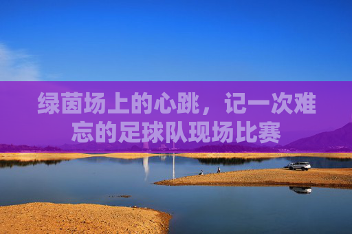 绿茵场上的心跳,记一次难忘的足球队现场比赛