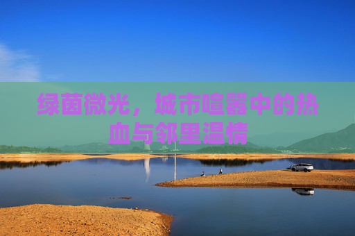 绿茵微光,城市喧嚣中的热血与邻里温情