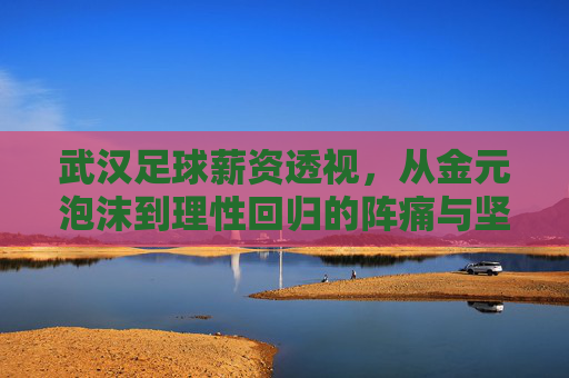 武汉足球薪资透视,从金元泡沫到理性回归的阵痛与坚守