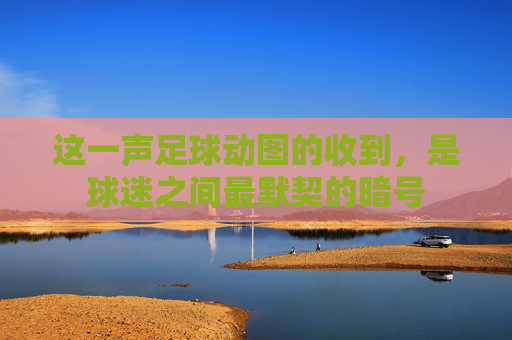 这一声足球动图的收到，是球迷之间最默契的暗号