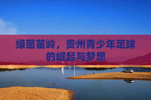 绿茵苗岭,贵州青少年足球的崛起与梦想