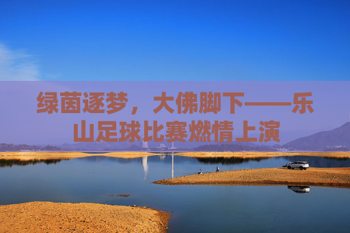 绿茵逐梦,大佛脚下——乐山足球比赛燃情上演