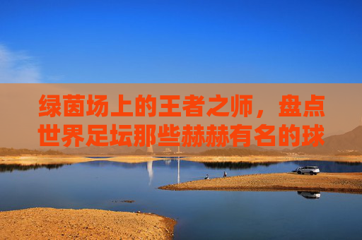 绿茵场上的王者之师,盘点世界足坛那些赫赫有名的球队